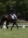 IMG_1431 IMG_1431