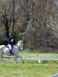 IMG_0974