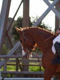 IMG_0374 IMG_0374