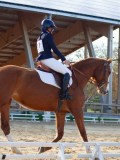 IMG_0378 IMG_0378