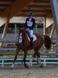 IMG_0382 IMG_0382