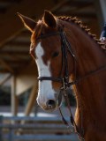 IMG_0385 IMG_0385