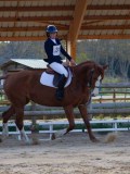 IMG_0388 IMG_0388