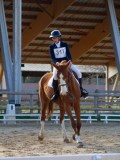 IMG_0390 IMG_0390