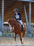 IMG_0392 IMG_0392