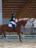 IMG_0403 IMG_0403