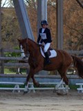 IMG_0405 IMG_0405
