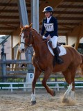 IMG_0409 IMG_0409