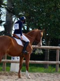 IMG_0415 IMG_0415
