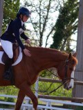 IMG_0417 IMG_0417