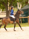 DSC06272 DSC06272
