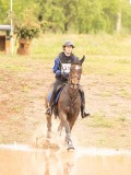 DSC08417 DSC08417