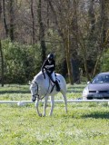 IMG_1011