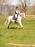 SGE05032