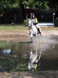 IMG_7275