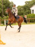 DSC06149 DSC06149