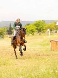 DSC08323 DSC08323