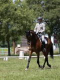 IMG_1475 IMG_1475