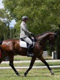 IMG_1480 IMG_1480