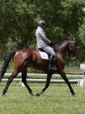 IMG_1481 IMG_1481