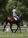 IMG_1486 IMG_1486