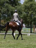IMG_1487 IMG_1487