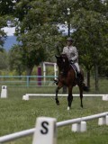 IMG_1489 IMG_1489