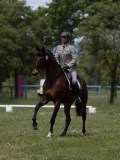 IMG_1491 IMG_1491