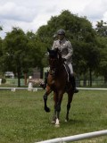 IMG_1493 IMG_1493