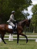 IMG_1494 IMG_1494