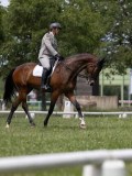 IMG_1496 IMG_1496