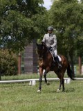 IMG_1498 IMG_1498