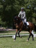 IMG_1499 IMG_1499