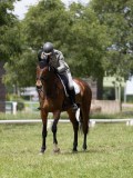 IMG_1505 IMG_1505