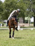 IMG_1506 IMG_1506