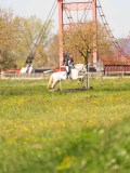 SGE05042