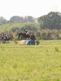 DSC00737