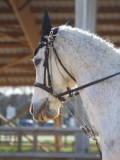 IMG_0502 IMG_0502