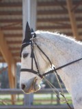 IMG_0508 IMG_0508
