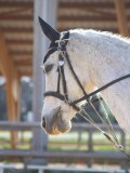 IMG_0511 IMG_0511