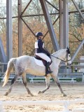 IMG_0515 IMG_0515
