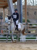 IMG_0516 IMG_0516