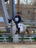 IMG_0518 IMG_0518