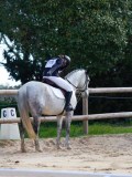 IMG_0525 IMG_0525