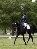 IMG_1508 IMG_1508