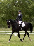 IMG_1509 IMG_1509
