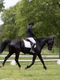 IMG_1512 IMG_1512