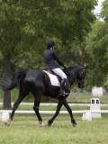 IMG_1515 IMG_1515
