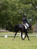 IMG_1517 IMG_1517