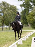 IMG_1518 IMG_1518